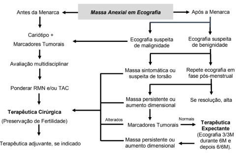 Figura 1: Algoritmo de atuação perante uma massa anexial na infância e
adolescência (Adaptado de Silva C, Cancro Ginecológico na Adolescente (4)