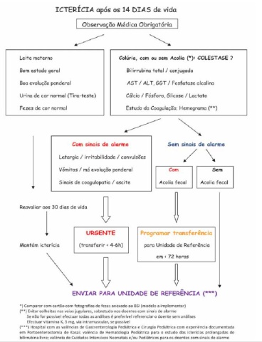 Icterícia e colestase neonatal