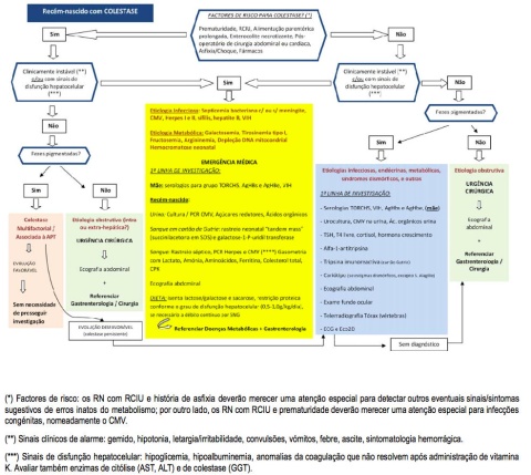 Icterícia e colestase neonatal