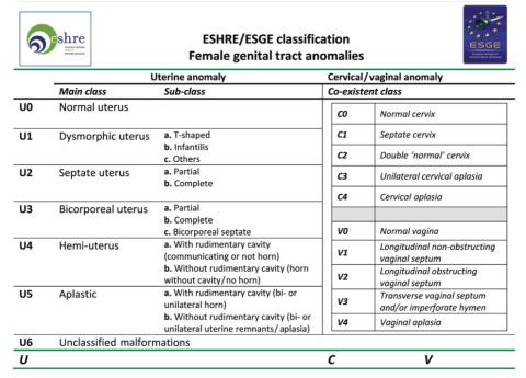 Figuras 3 - Classificação do trato genital feminino de acordo com a classificação de ESHR/ESGE 