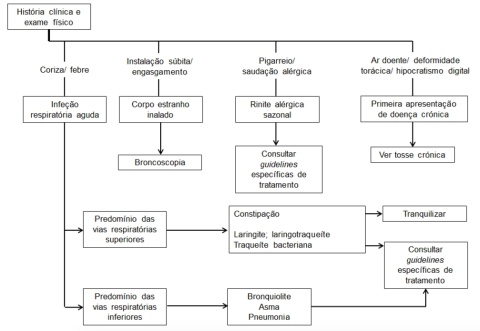 Adaptado de Shields MD et al. BTS guidelines: Recommendations for the assessment and management of cough in children. Thorax. 2008;63